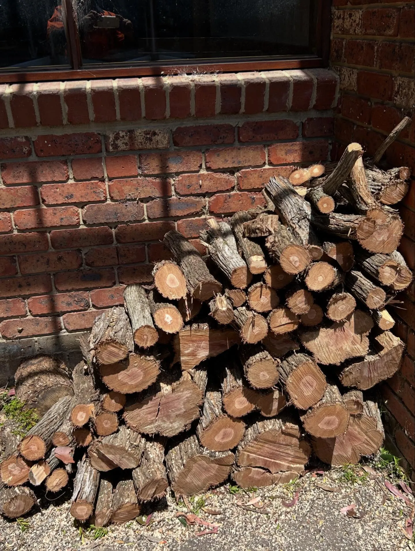 Cut firewood rounds stacked against a brick wall beneath a window