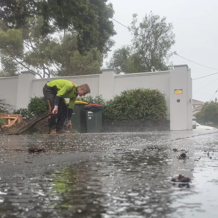 Tree worker cutting a fallen branch on a rain-covered residential street