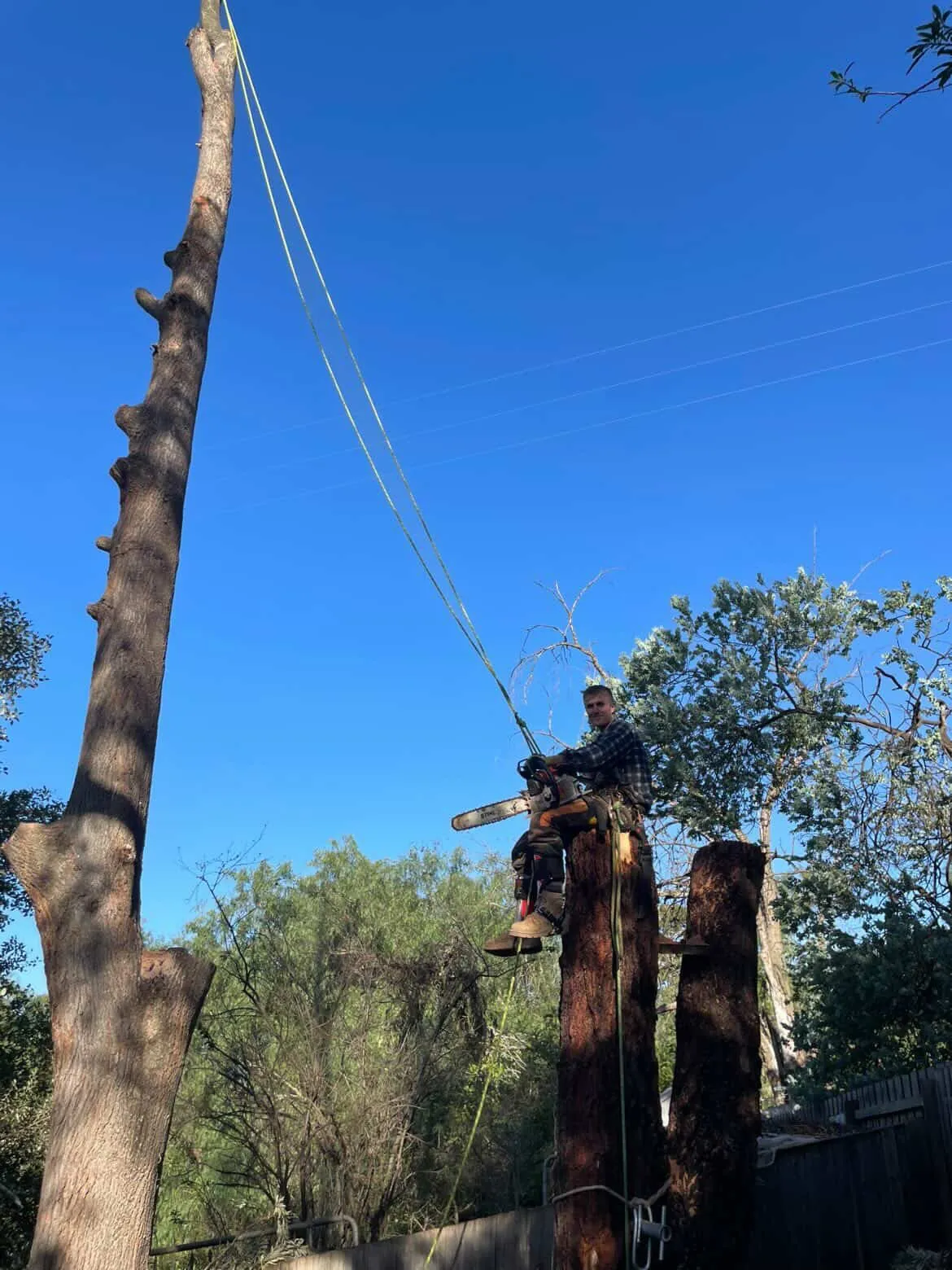 Arborist holding a chainsaw while seated on a cut tree trunk