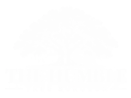 The Humble Tree Surgeon